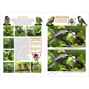 Auf Entdeckungsreise durch unsere Natur - Vögel (Rätselheft)
